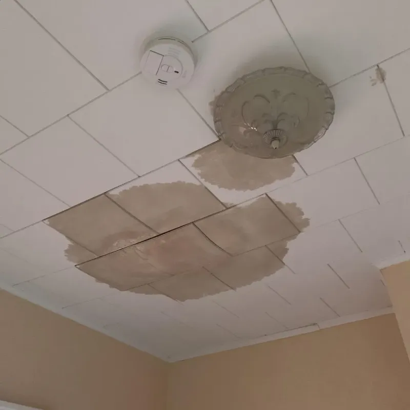 Ceiling Water Damage Repair in Delaware County, OH