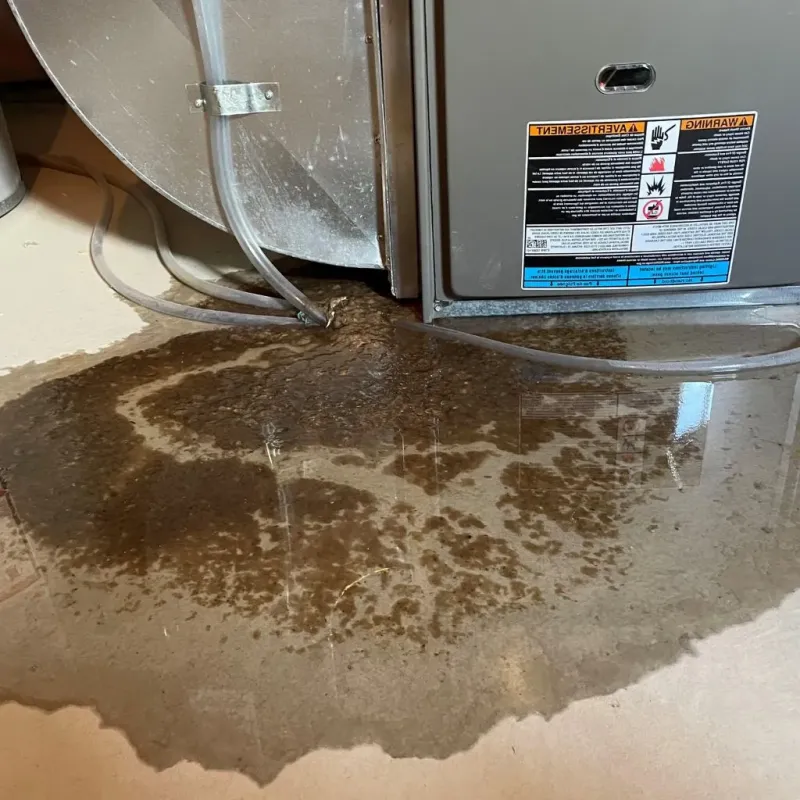 Pipe Burst and Leak Restoration in Delaware County, OH