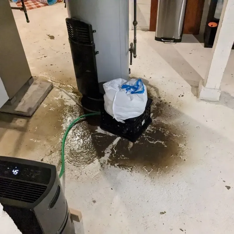 Sewage Backup Cleanup Service in Delaware County, OH